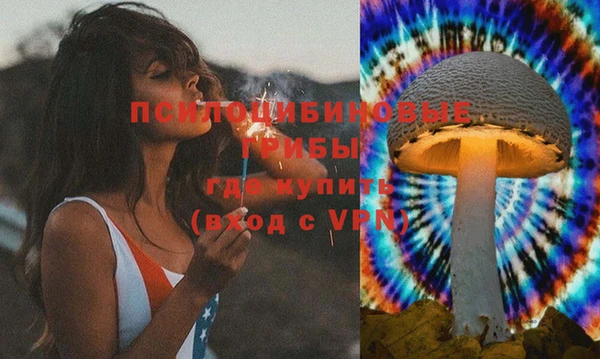 PSILOCYBIN Бронницы